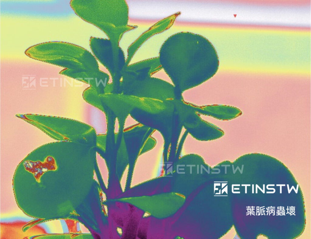 這是您不知道的秘密!!FLIR熱像儀20+種特殊用途實拍照