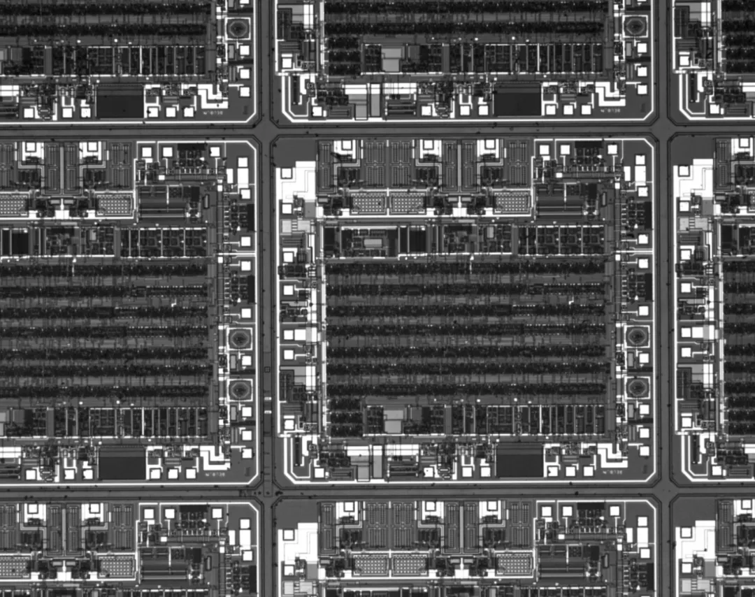 探索紅外線視界：SWIR、MWIR、LWIR 完整解析與熱像儀選購指南
